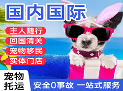 西庆空运地址国际宠物托运 【国